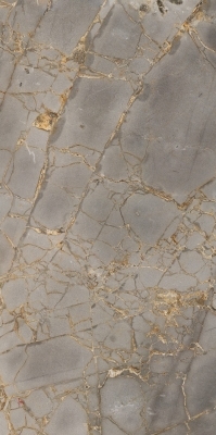 Reflection Gold Polished 60X120 полированная