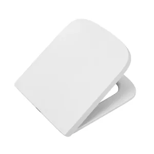 Сиденье для унитаза BelBagno микролифт, дюропласт, белый BB8604SC