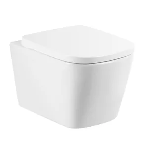 Унитаз подвесной BelBagno безободковый, белый BB120CHR