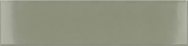 Costa Nova Tansy Green  20X5 глянцевая