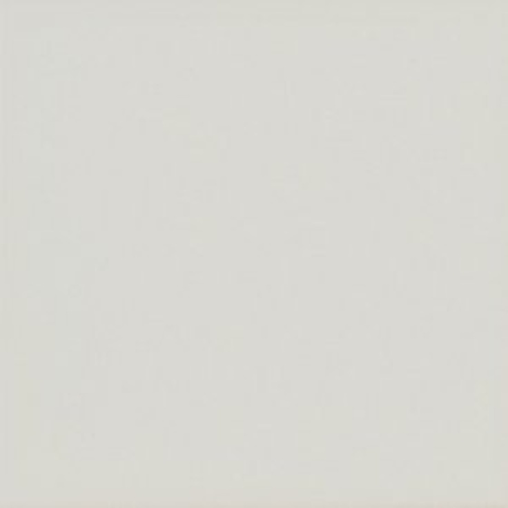 Equipe Evolution 20957 Gris Claro Brillo 15x15 глянцевая