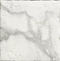 Versailles Hermitage Light 20X20 матовая