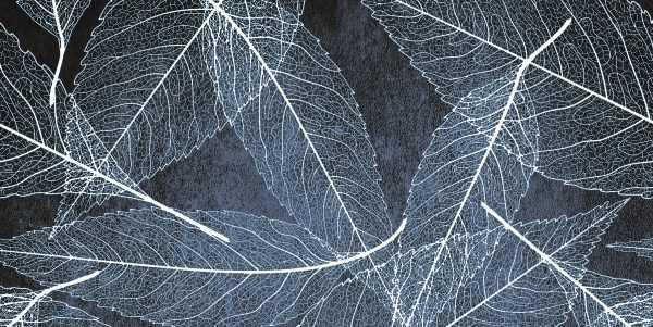 Tampa Blue Rect 60X60 глянцевая