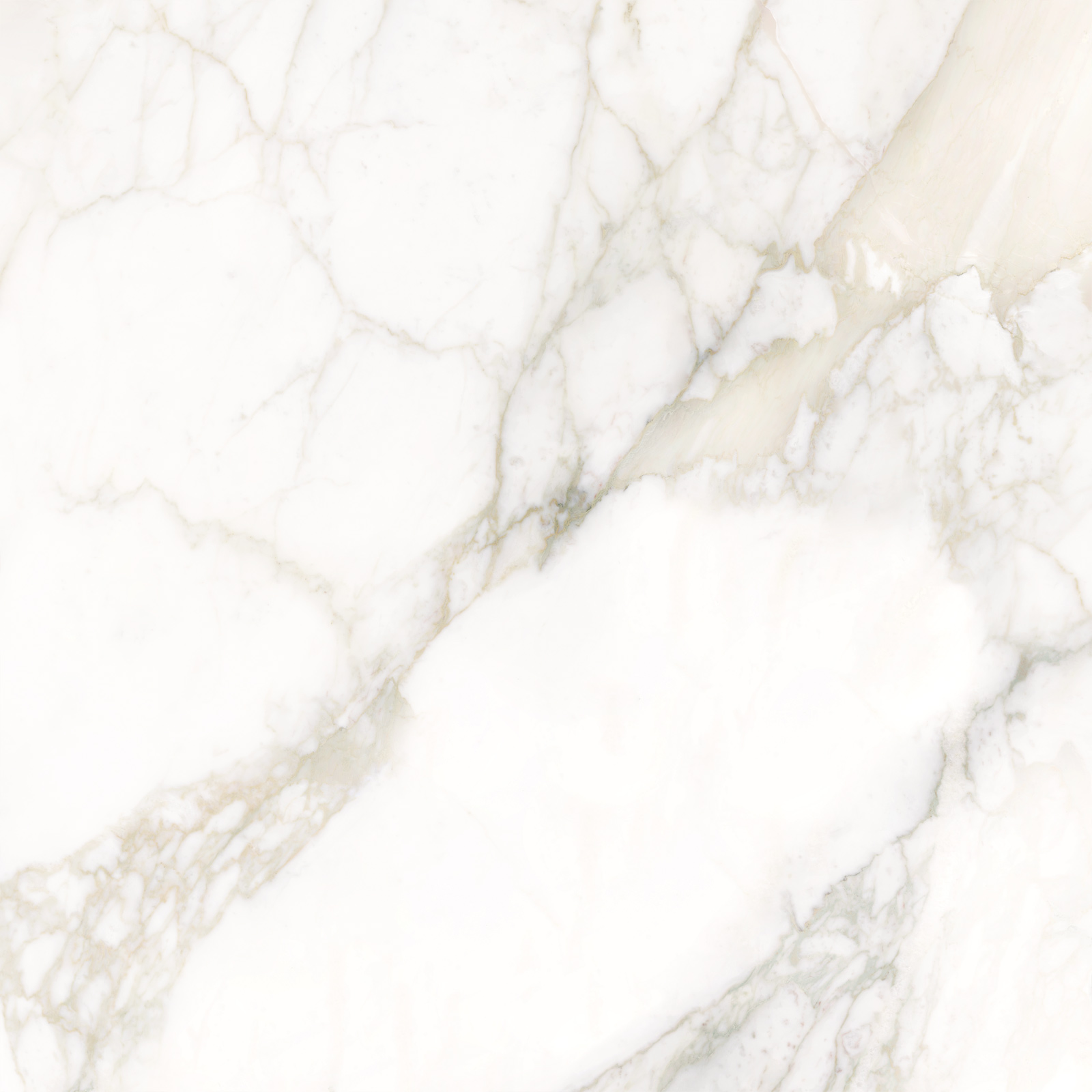 Calacatta Luna 800*800