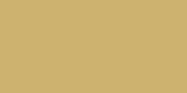 фон Bold Mustrad Rett 40x80