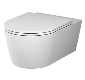 Унитаз подвесной AM.PM FlashClean 540х375х340 безободковый, сиденье, белый мат. C8F1701MWSC