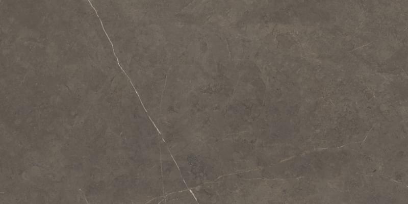 фон Northon Taupe Pulido 59x119