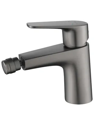 Смеситель для биде Aquatek AQ1118BGM однозахватный, низкий излив 82мм, цвет: сталь оружейная