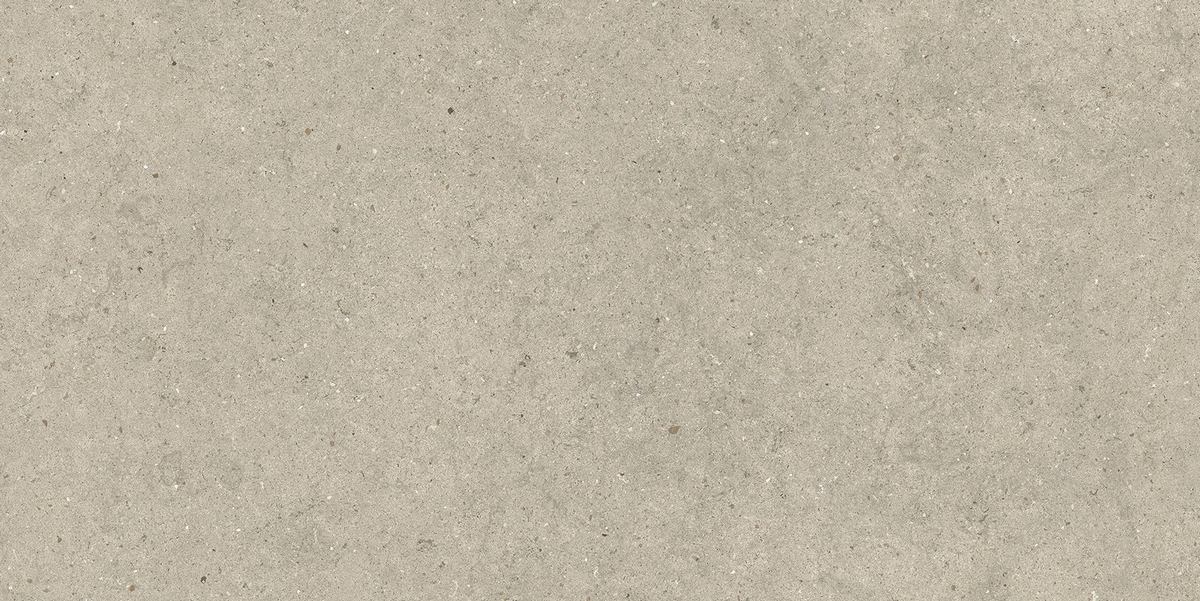 керамогранит FORUM STONE DESERT 60X120 матовая