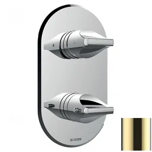 Смеситель для душа Bossini Z00500021 встраиваемый, термостат. на 2-5 выход., внеш.часть золото