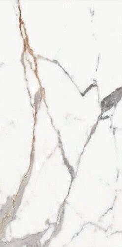 Origines De Rex Or 60x120 глянцевая