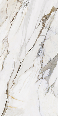 Marmo E Pietra Statuario Reale Slab B 163X323