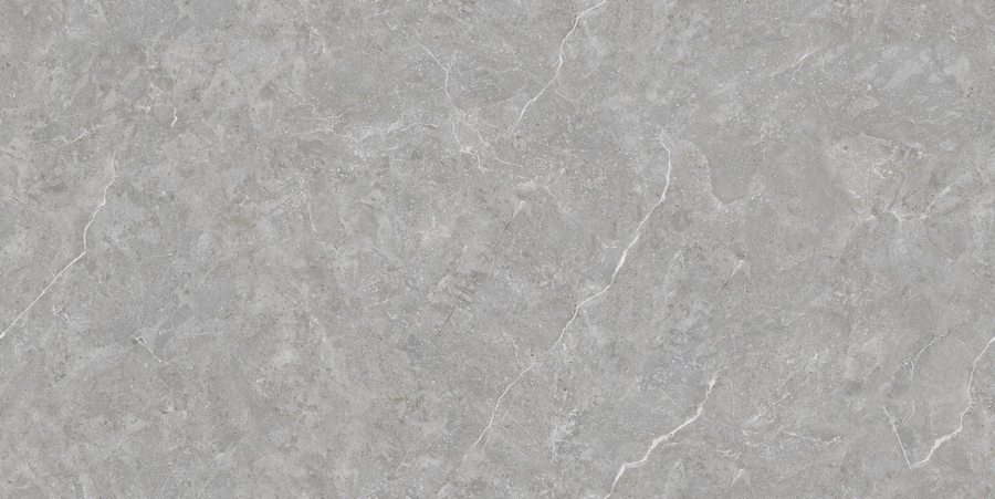 Mica Grigio Tm 80X160 