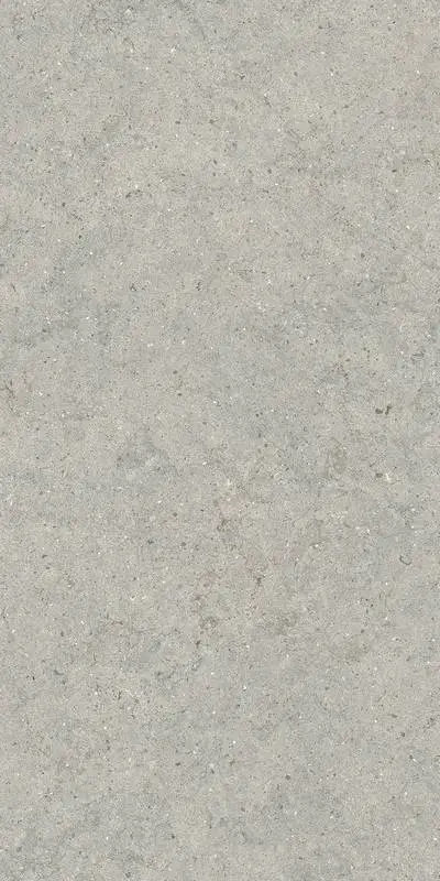 керамогранит FORUM STONE SILVER 60X120 матовая