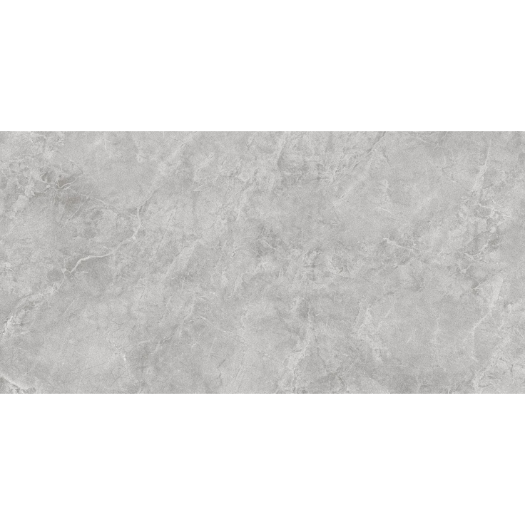 Sant Agostino Themar CSAGRSAO12 Grigio Savoia 60x120 матовая