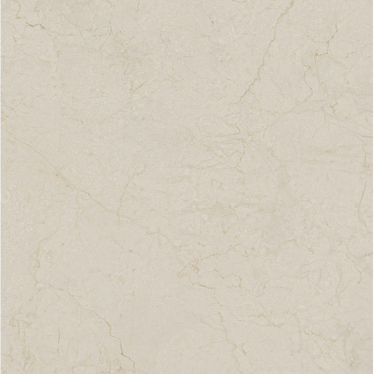 Arcana Ceramica Black&Cream ARC_88S3 Cream R Dune 59,3x59,3 матовая