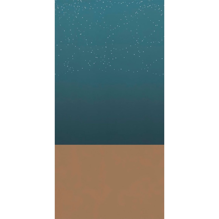 ABK Wide & Style 0007318 Arizona A 160x320 матовая