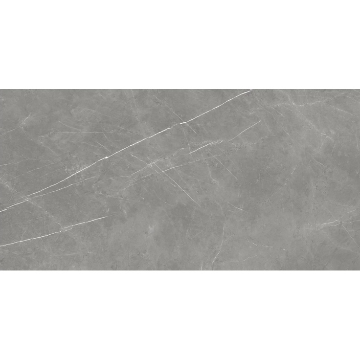 Atlas Concorde Russia Forte Dei Marmi 610015000657 Elegant Grey Cerato Rett 60x120 полуматовая