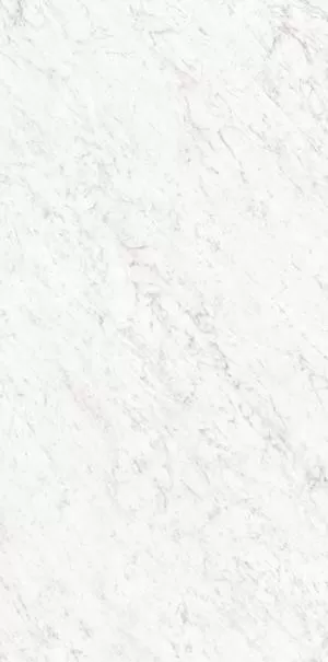 Marmi Classici Bianco Carrara Lucidato Ret Polished 120X60 полированная