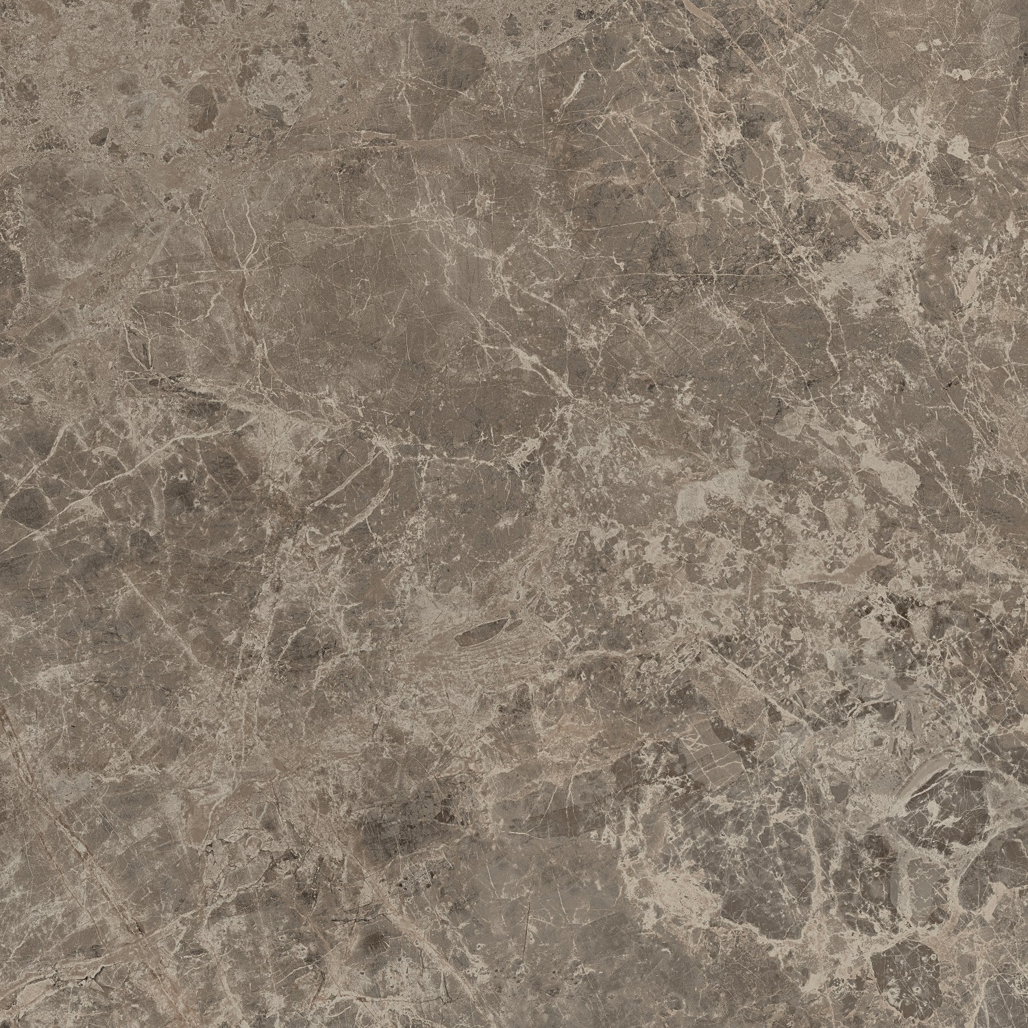 Victory Taupe Ret 80X80 матовая