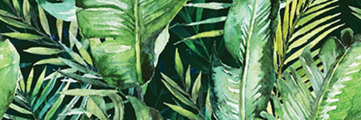 Braga Tropic B Rect 25X75 глянцевая