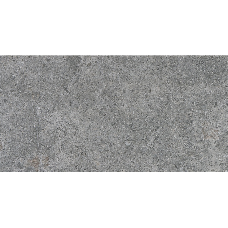 Argenta Etienne Grey RC 30x60