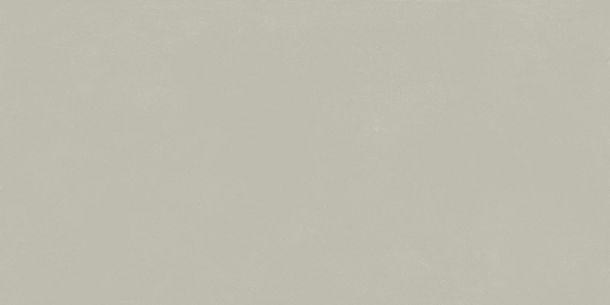 керамогранит FORUM SLIM SILVER 60X120 матовая