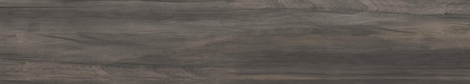 Dolphin Coal Rett. 20X120 матовая