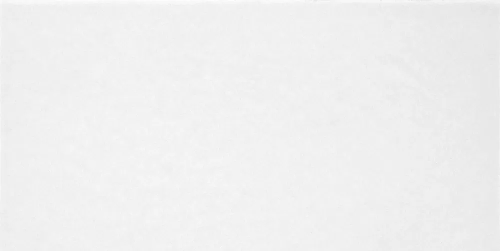 Monocolor 249x500x8.5 TWU09MNR020 глянцевая