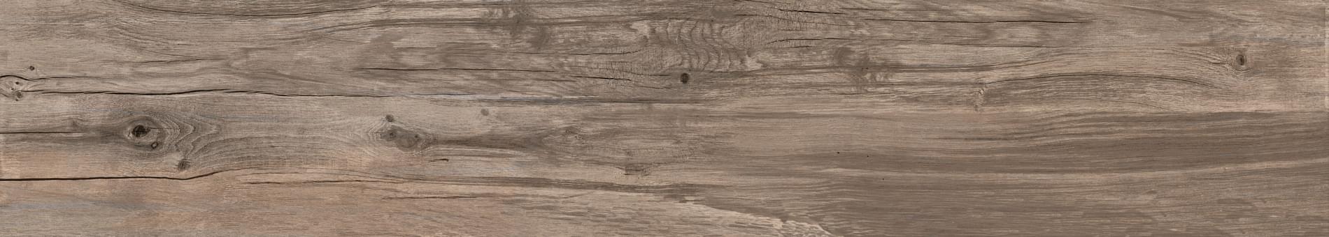 Dolphin Oak Rett. 20X120 матовая