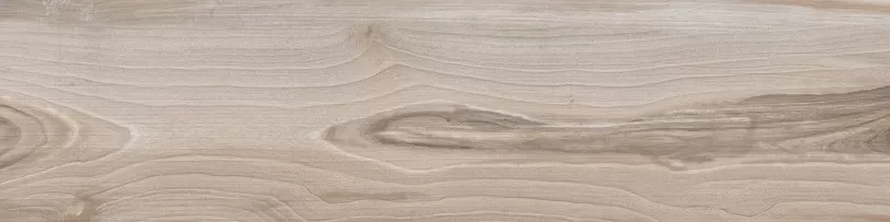 Savanna Dust Ret 60X15 матовая