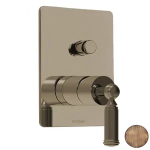 Смеситель для душа Bossini Z00066.022 встраиваемый, однозахватный, внешняя часть, бронза