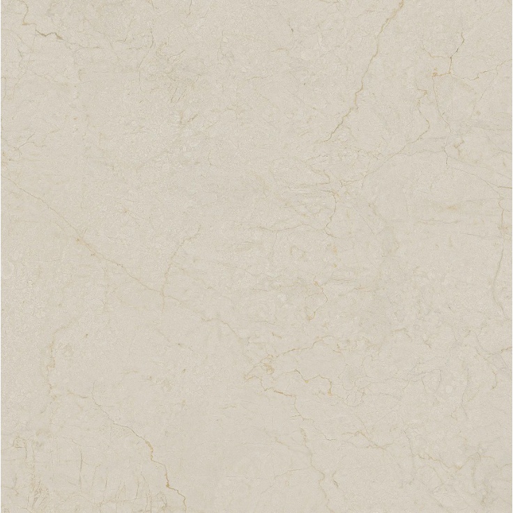 Arcana Ceramica Black&Cream ARC_8L74 Cream R Dune  80x80 матовая