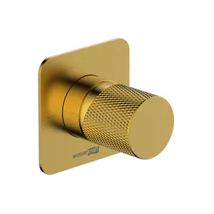 Смеситель для душа WasserKRAFT Schunter 8251 встраиваемый со скрытой частью, матовое золото