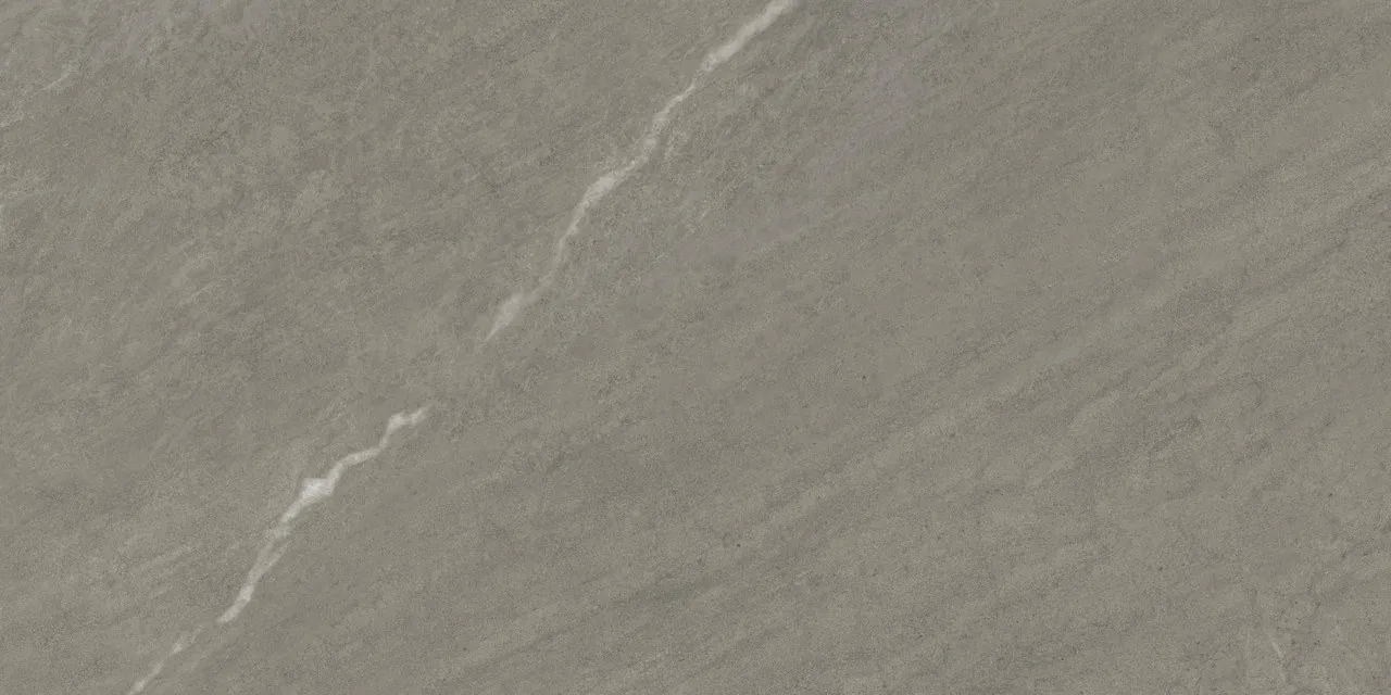 Forte Dei Marmi Rock Venaria Grey Matt 80x160 матовая