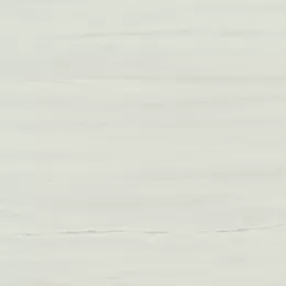 Marvel Stone Bianco Dolomite Lapp 60X60 лаппатированная