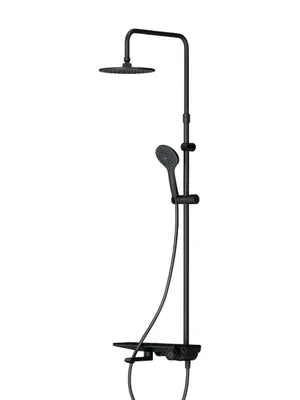 Душевая система AM.PM F0790722 настенная, ручной/верхний душ, поворотный излив, черный матовый