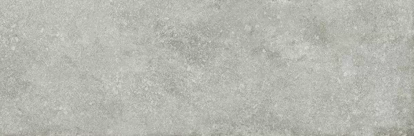 Verbier 32.5X100 947 VRB3GY матовая