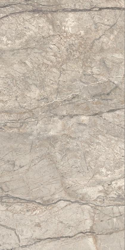 фон Anima Futura Amazing Silver Liscio Matt 60x120