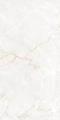 Ambros Gris Polished 60X120 полированная