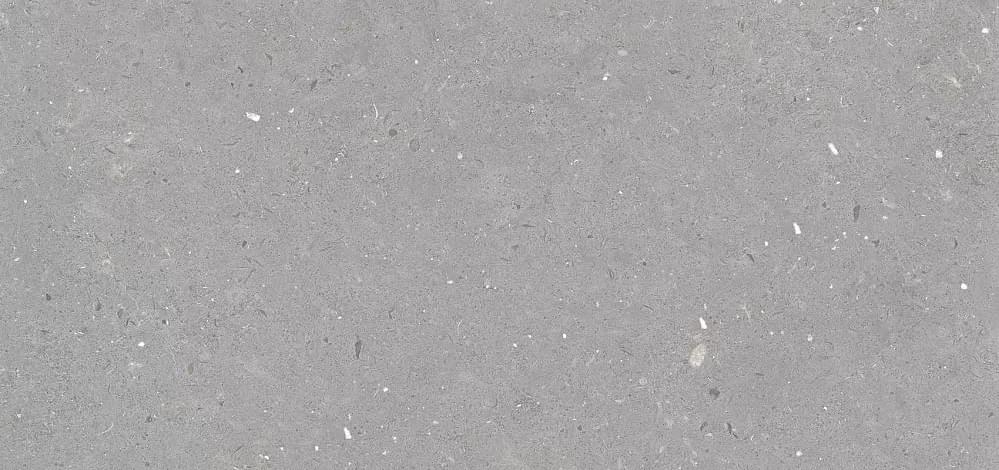 фон Fossil Stx Grey 59.8x119.8