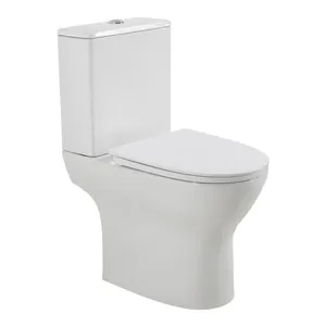 Унитаз-компакт BelBagno безободковый, с сиденьем, белый BB045CPR/SC+BB045/051T (BB045CPR+BB045/051T+BB045/051SC)