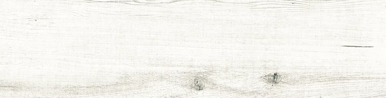 Zarina 60X15X08 матовая