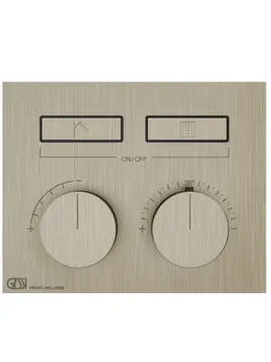 Смеситель Gessi 63004.149 встр., термостат, на 2 выхода, с кнопками, внешняя часть, никель