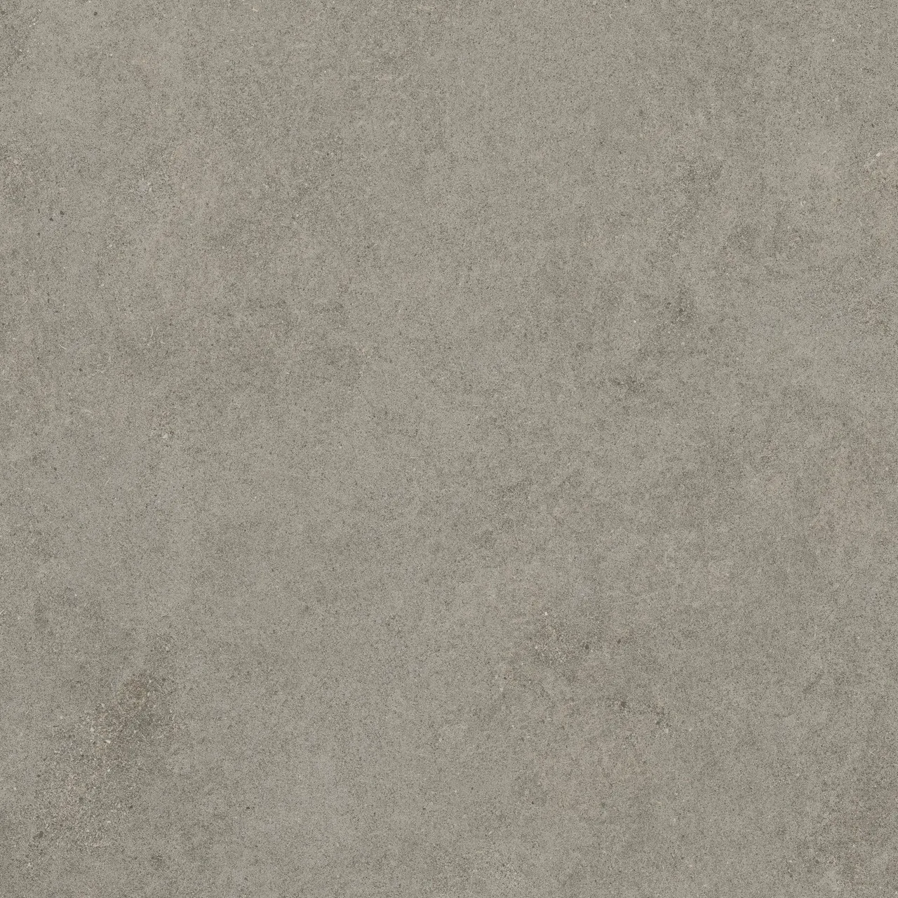 Forte Dei Marmi Rock Lunar Grey Matt 120x120 матовая