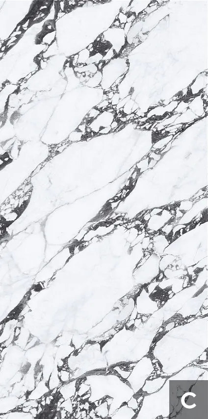 Tantai Jin Demon 120x240