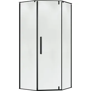 Душевой уголок TERMINUS 04 1000х1000х2200 распашной, цвет: черный 4EW100х100B