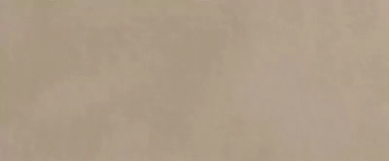 Milano Mood Biscotto Rt 50X120 матовая