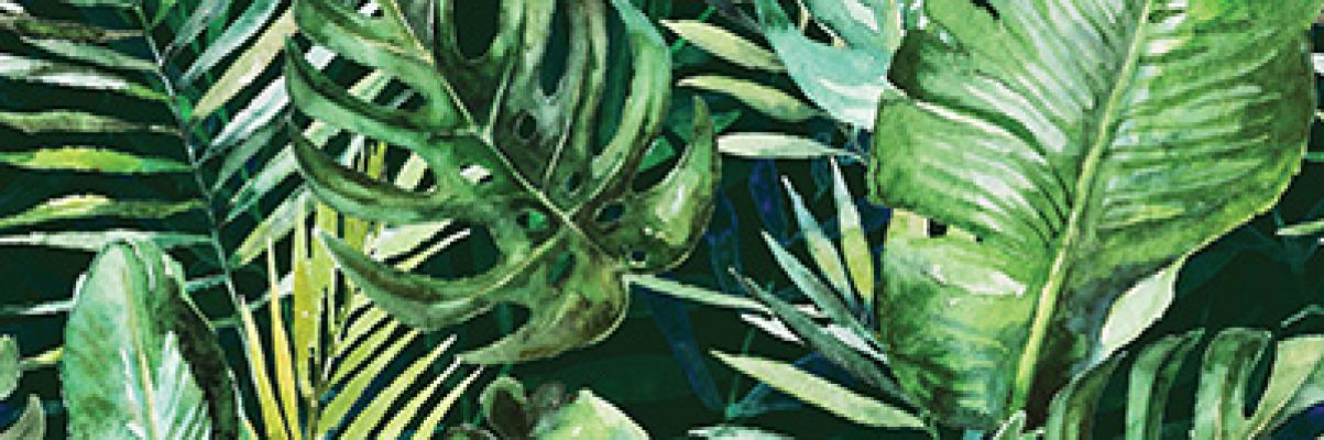 Braga Tropic C Rect 25X75 глянцевая