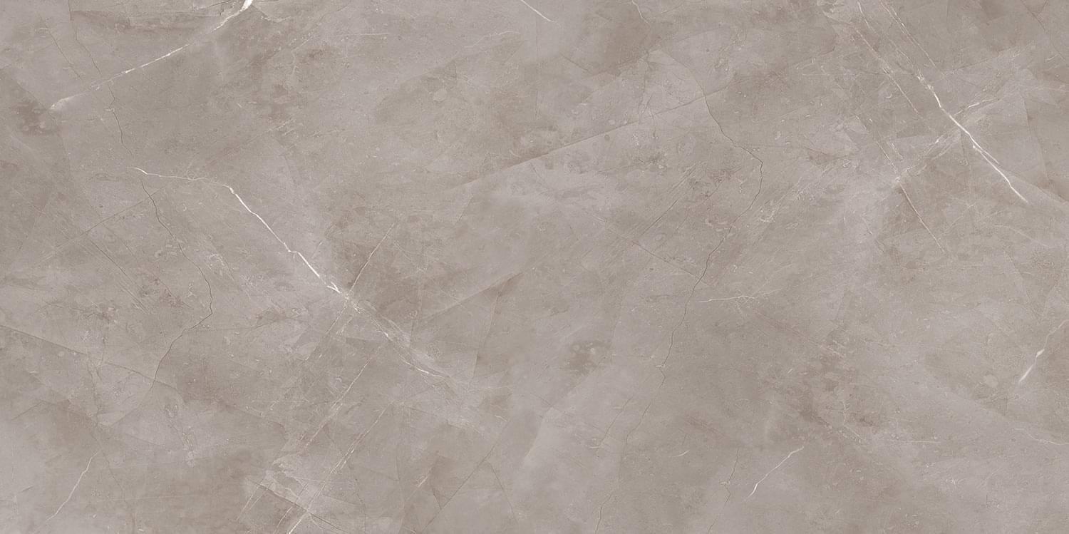 Harmonic Grey Polished 119,8X239,8 полированная